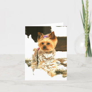 Let It Snow Note Card