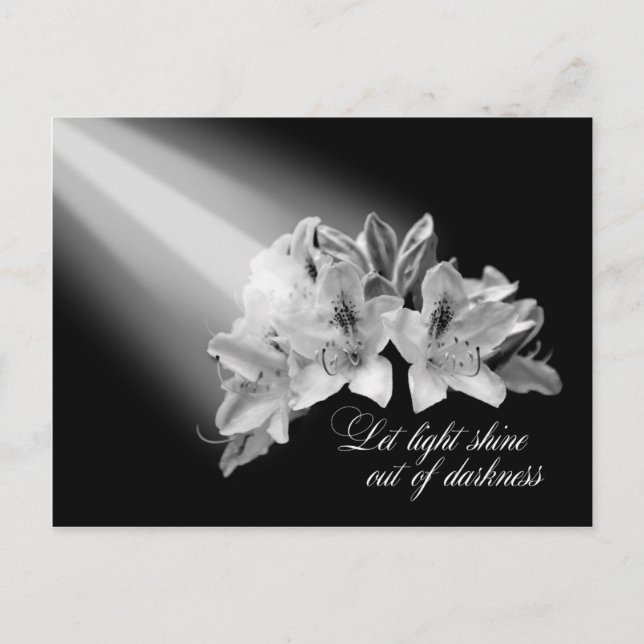 Let Light Shine Out Of Darkness Black And White Postcard (Front)