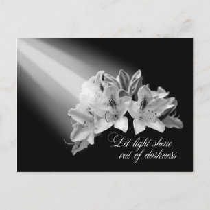 Let Light Shine Out Of Darkness Postcard