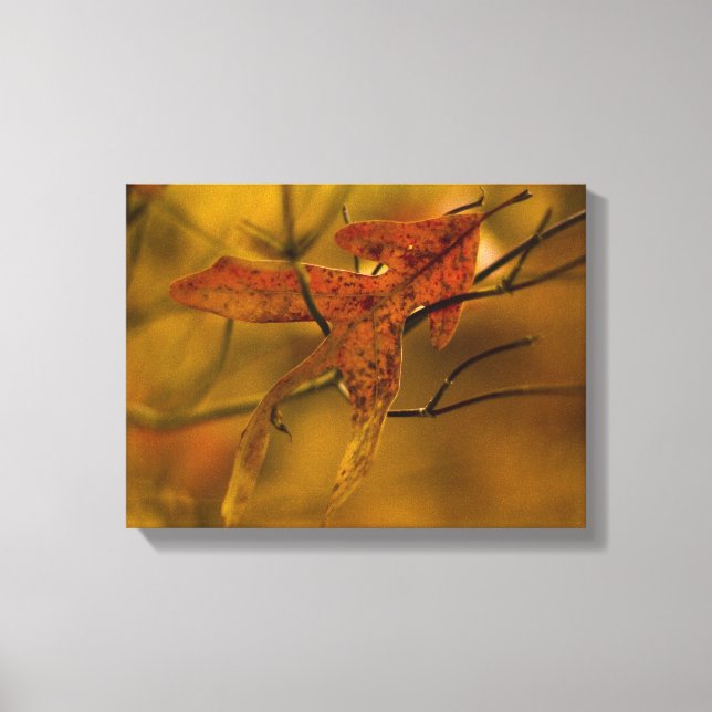 Let me catch you  autumn leaves in golden hues canvas print (Front)