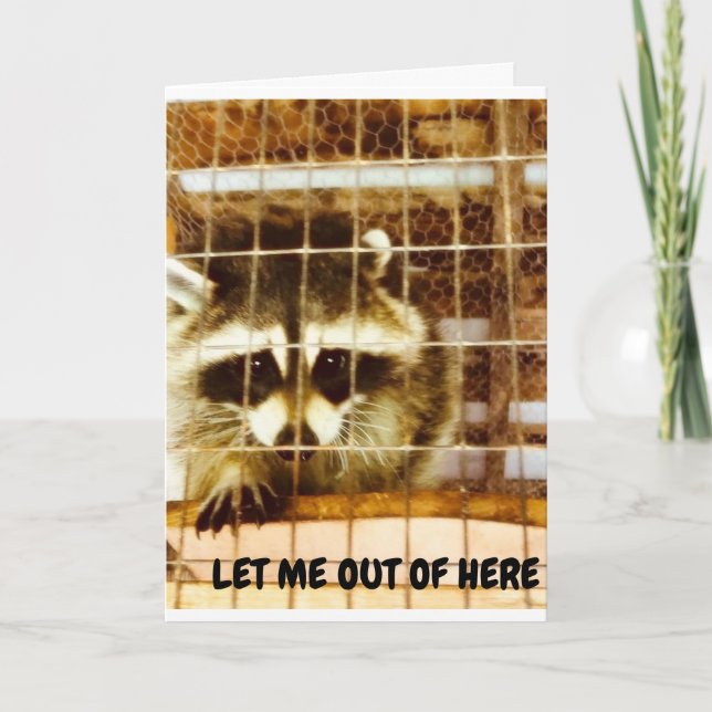 LET ME OUT SO I CAN SAY "HAPPY ANNIVERSARY" TO YOU CARD (Front)