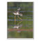 Let me see your wings baby bird