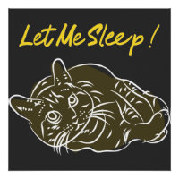 Let Me Sleep! Funny Quote