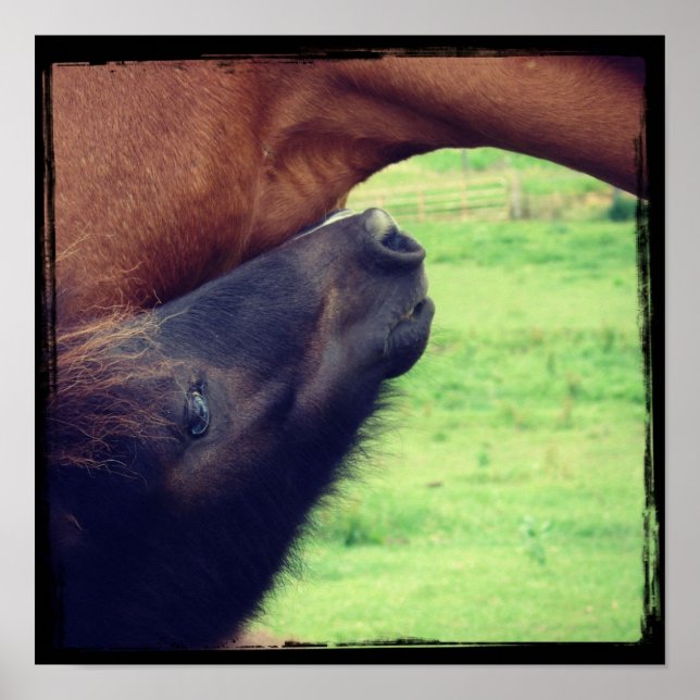 Let Me Tell You A Secret Poster (Front)