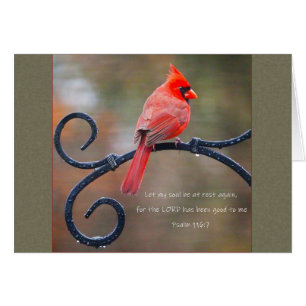 Let my soul rest Cardinal Parakaleo note card