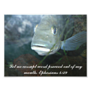 Let no corrupt word photo