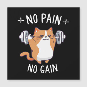 Let s Build Some Muscle! Gym Time!