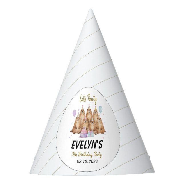 Let’s Party Groundhog 5th Birthday – Fun Kids  Party Hat (Front)