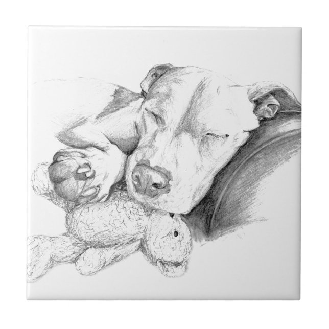 Let Sleeping Dogs Lie Tile (Front)