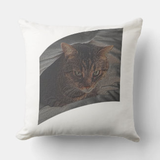 Let the cat rest throw pillow