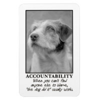 Let the dog take the blame for your farts