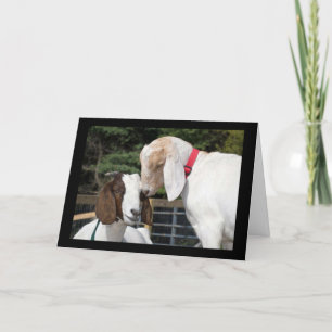 LET THE "KID" IN YOU OUT FOR YOUR BIRTHDAY CARD