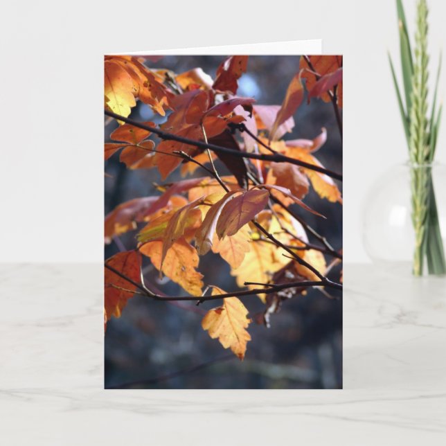 Let The Light Shine Through Card (Front)