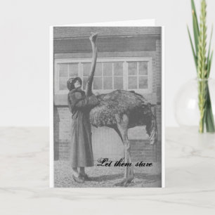 Let them Stare Holiday Card