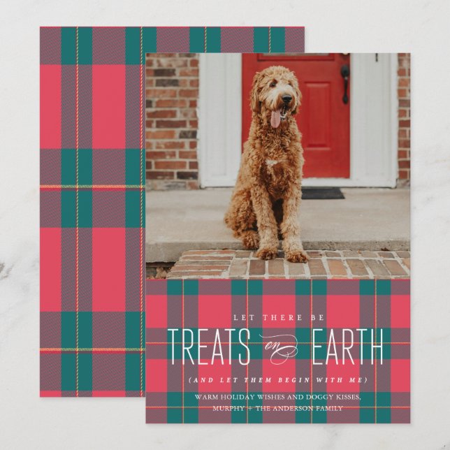 Let There Be Treats on Earth Pet Photo Holiday  Invitation (Front/Back)