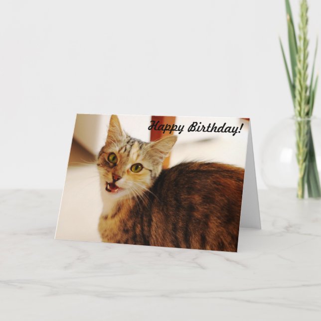 Let this cat wish a Happy Birthday! Card (Front)