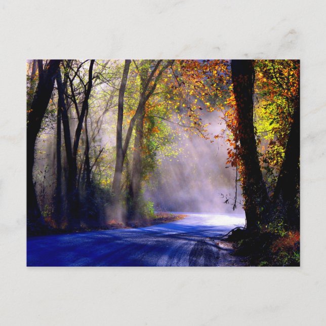 Let Your Light Shine Postcard (Front)