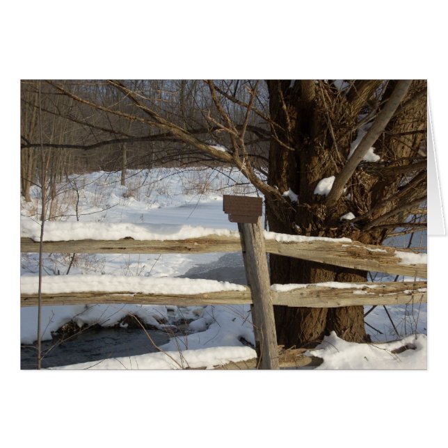 L'étang en hiver (Devant horizontal)