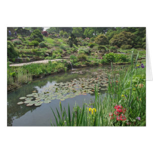 L'étang Lily au RHS Wisley