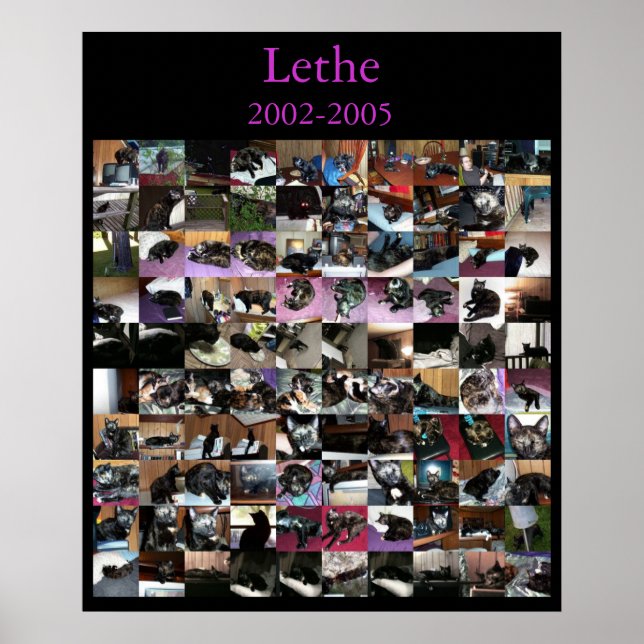 Lethe Poster (Front)