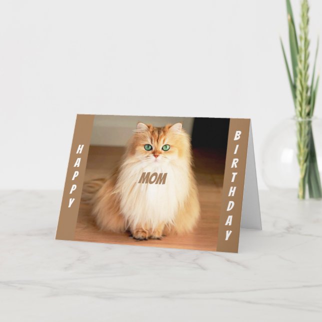 **LET'S CELEBRATE YOU MOM** WIDE EYED CAT SAYS CARD (Front)