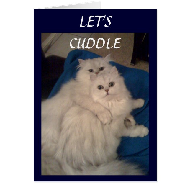 LET'S CUDDLE (Front)