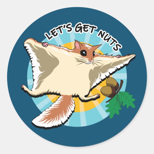 Let's Get Nuts - Flying Squirrel Classic Round Sticker (Front)