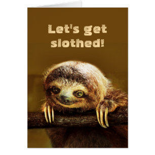 Let's get Slothed