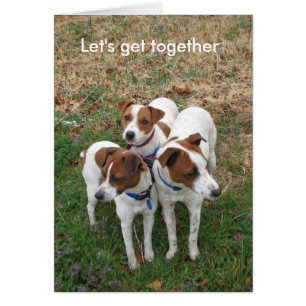 Let's get together 2752