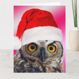 Lets Give Thanks Great Horned Owl Reluctant Santa Thank You Card