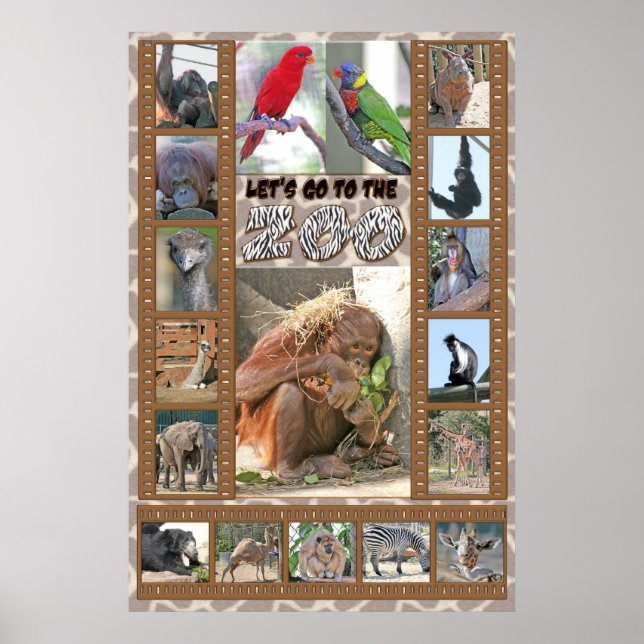 Let's go to the Zoo Poster (Front)