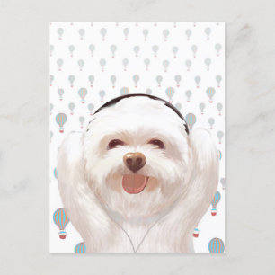 Let's Music Announcement Postcard