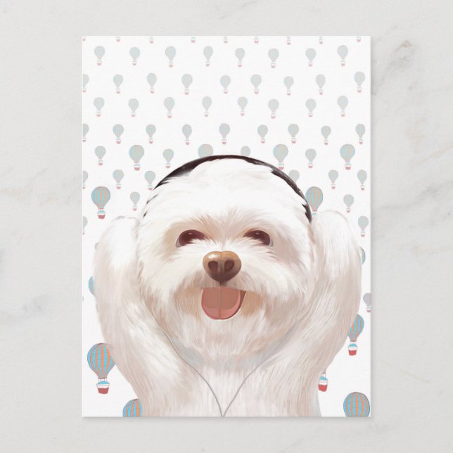 Let's Music Announcement Postcard (Front)