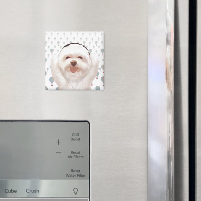 Let's Music Magnet (In Situ (Fridge))