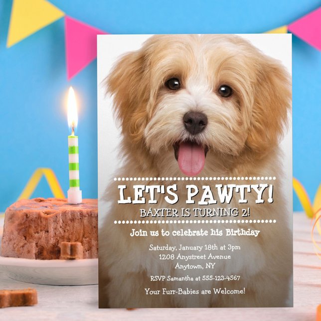 Let's Pawty 2-Photo Pet Birthday Invitation (Creator Uploaded)