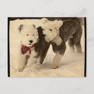 Lets Play! Postcard