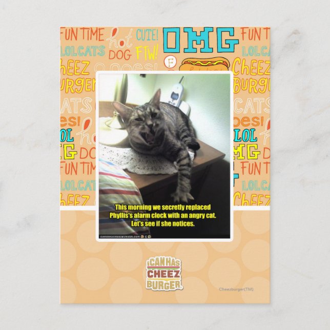 Let's see if she notices. postcard (Front)