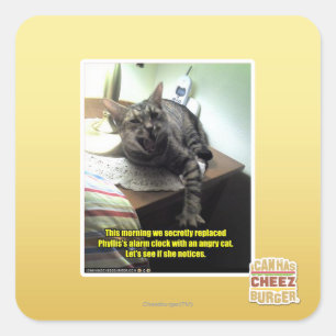 Let's see if she notices. square sticker