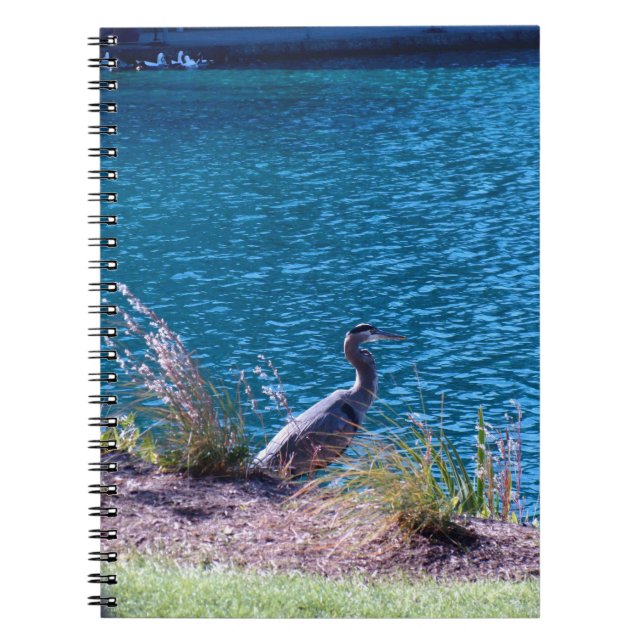 Lets the Colours be Your Guide Notebook (Front)