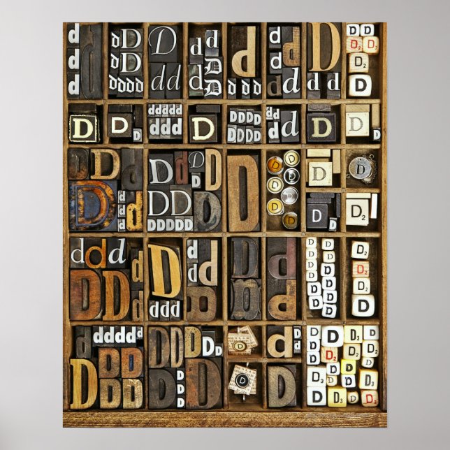 Letter D Poster (Front)