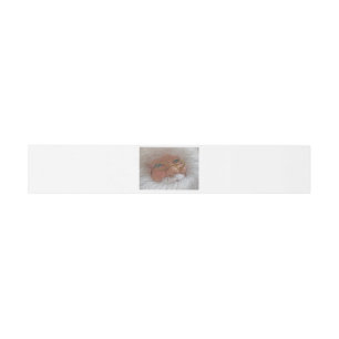 Letter from Santa Christmas Invitation Belly Band