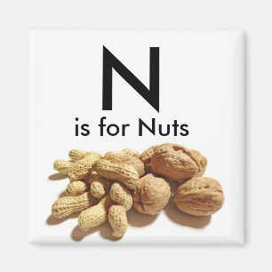 Letter N is for Nuts Children's Mangets Magnet