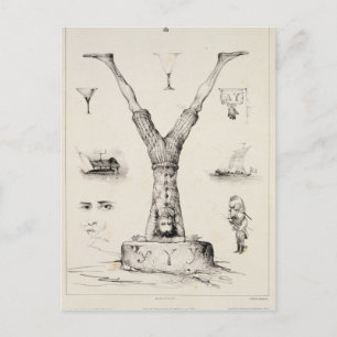 Letter Y from an alphabet primer Postcard