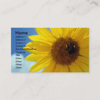 letthesunshine, Name, Address 1, Address 2, Con... Business Card