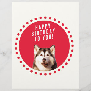 Lettre À En-tête Chatte Sibérien Husky Chien Joyeux Anniversaire
