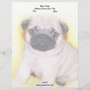 Lettre À En-tête Chiot de carlin