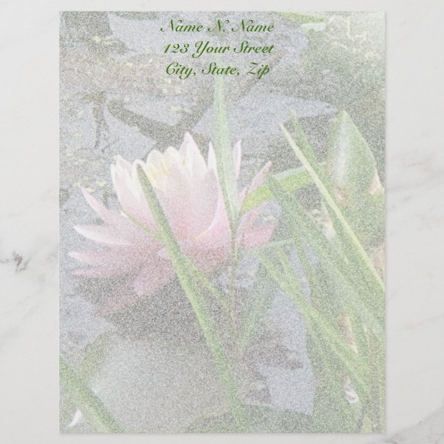 Lettre À En-tête En-tête Lily d'eau rose (Devant)