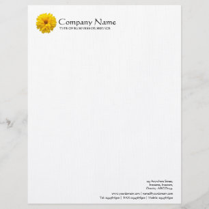 Lettre À En-tête Fleur - Chrysanthemum