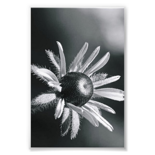LETTRE Alphabet Photographie O8 Noir et Blanc 4x6 (Devant)