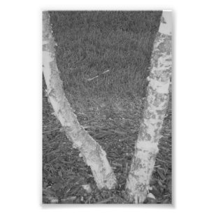 LETTRE Alphabet Photographie V3 Noir et Blanc 4x6